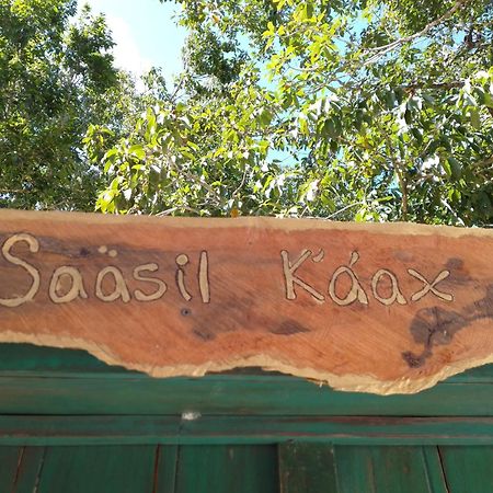 Saasil Kaax Villa Chemuyil ภายนอก รูปภาพ