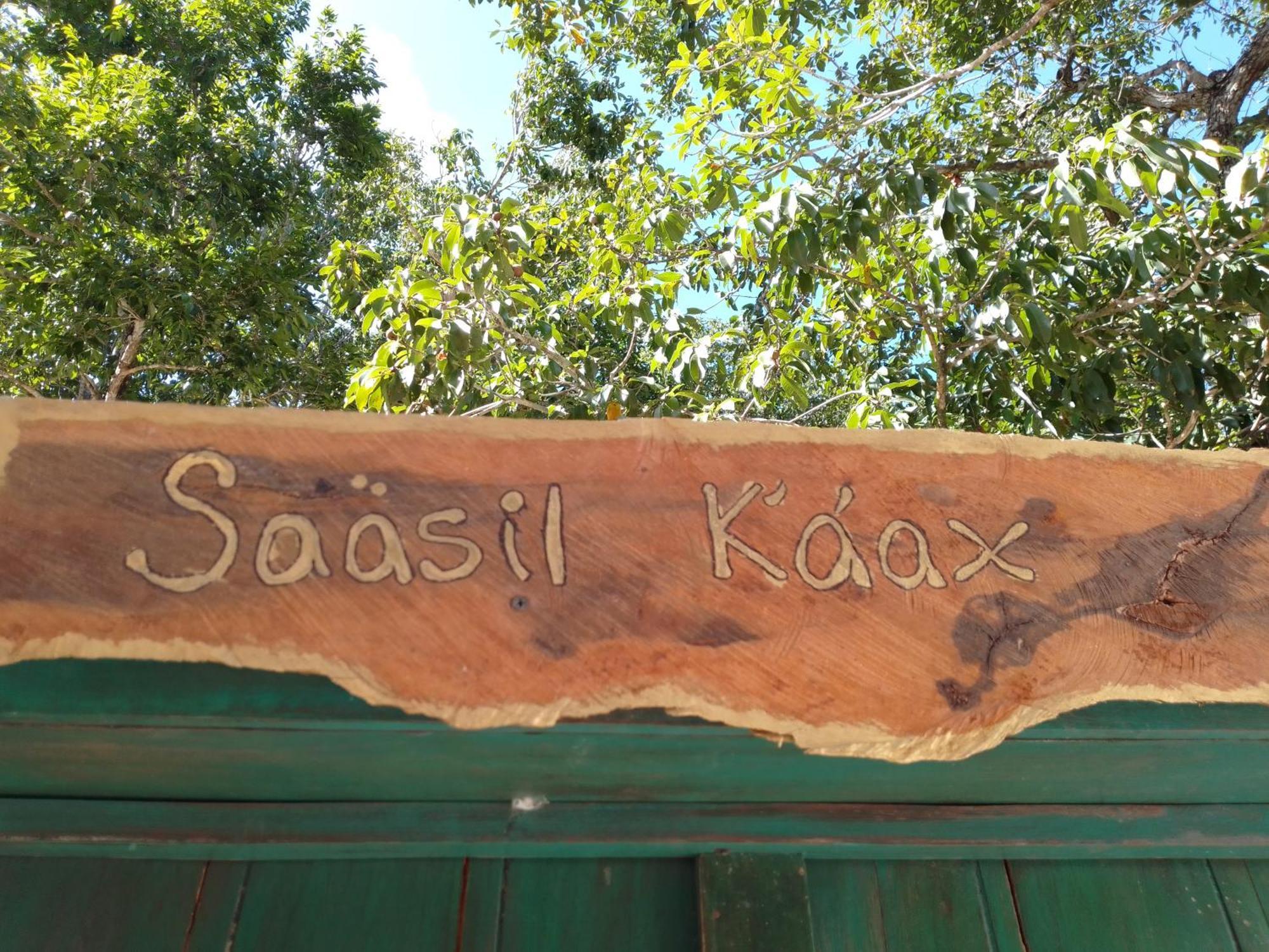 Saasil Kaax Villa Chemuyil ภายนอก รูปภาพ