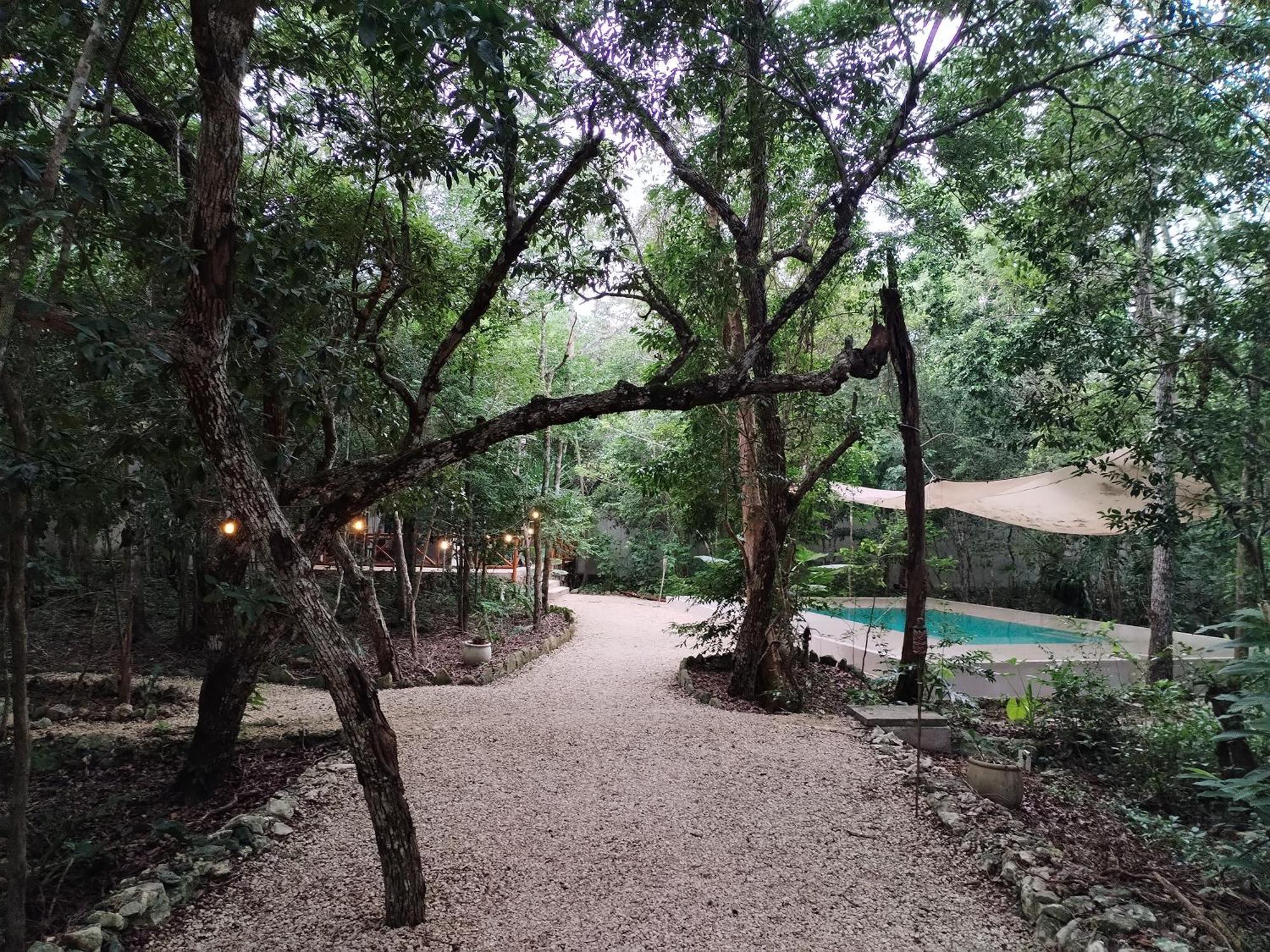 Saasil Kaax Villa Chemuyil ภายนอก รูปภาพ